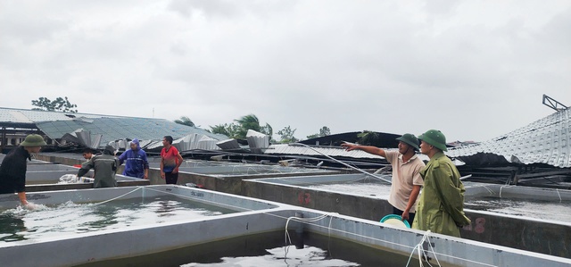 Quảng Ninh: Giông lốc dữ dội, 9 người bị thương- Ảnh 7.