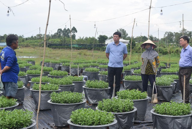 Đồng Tháp đột phá trong nông nghiệp, hướng đến phát triển nhanh và bền vững - Ảnh 1.