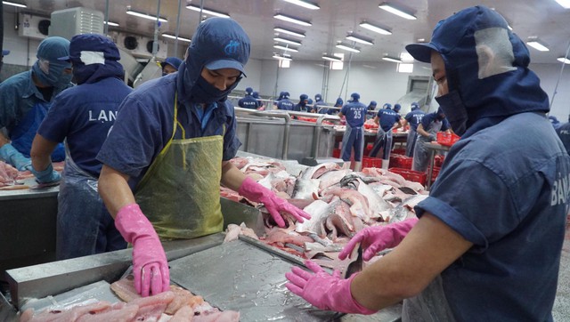 Đồng Tháp đột phá trong nông nghiệp, hướng đến phát triển nhanh và bền vững - Ảnh 4.