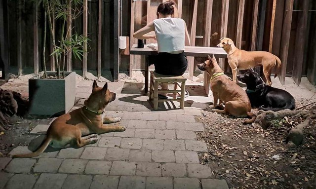 C&oacute; những người trẻ nh&agrave; ở th&agrave;nh phố, nhưng vẫn ra ở ri&ecirc;ng- Ảnh 2.