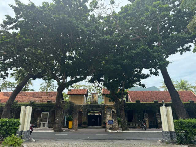 Điện lưới quốc gia gi&uacute;p C&ocirc;n Đảo vươn m&igrave;nh - Ảnh 7.