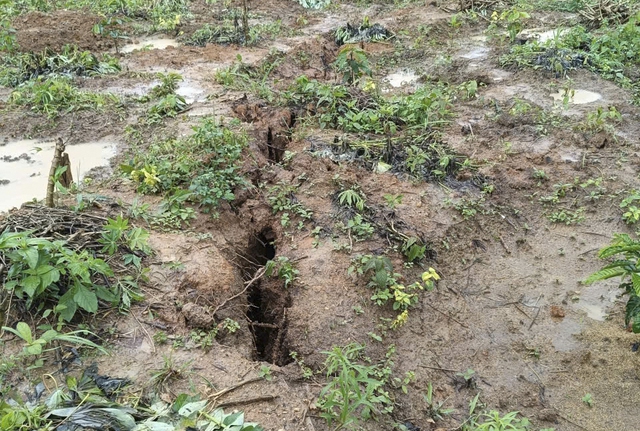 Quảng Ngãi: Kiểm tra vết nứt dài 200 m xuất hiện trên đồi trồng mì - Ảnh 3.