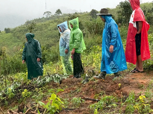Quảng Ngãi: Kiểm tra vết nứt dài 200 m xuất hiện trên đồi trồng mì - Ảnh 1.