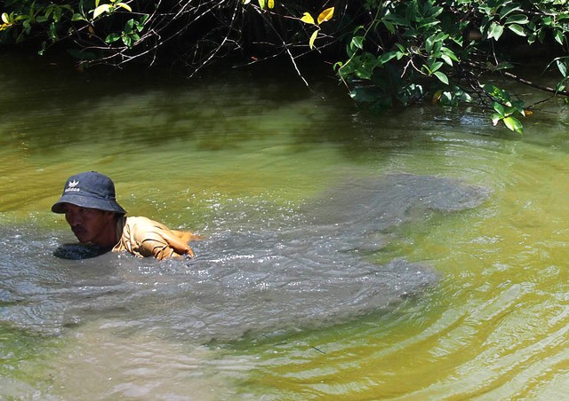Người miền Tây mưu sinh: Dùng bao xi măng cũ bắt ốc, ngâm mình cả ngày - Ảnh 3. Người miền Tây mưu sinh: Dùng bao xi măng cũ bắt ốc, ngâm mình cả ngày - Ảnh 3.