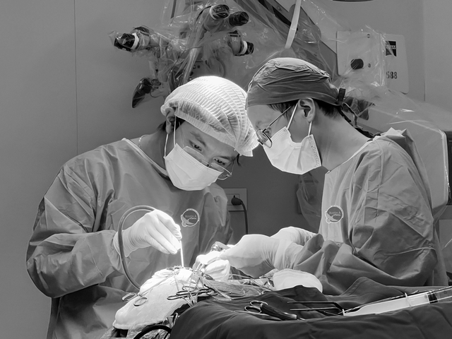 TP.HCM:Người phụ nữ 55 tuổi ngã quỵ trong nhà vệ sinh, vào viện đột quỵ, yếu liệt - Ảnh 1.
