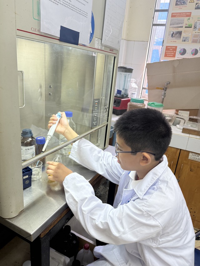 Nhóm học sinh làm ra thạch thơm ngon từ trái điều - Ảnh 6.