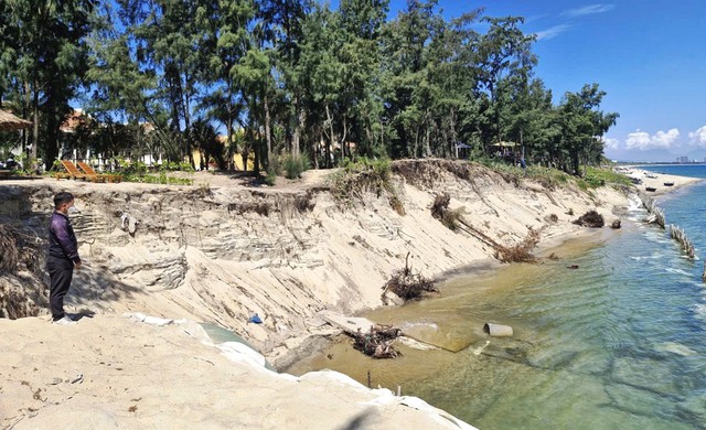 Bờ biển Hội An sạt lở nghiêm trọng- Ảnh 1. Bờ biển Hội An sạt lở nghiêm trọng- Ảnh 1.