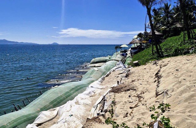 Bờ biển Hội An sạt lở nghiêm trọng- Ảnh 3. Bờ biển Hội An sạt lở nghiêm trọng- Ảnh 3.