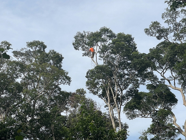 Thung s&acirc;u m&ugrave;a xoay ch&iacute;n - Ảnh 1.