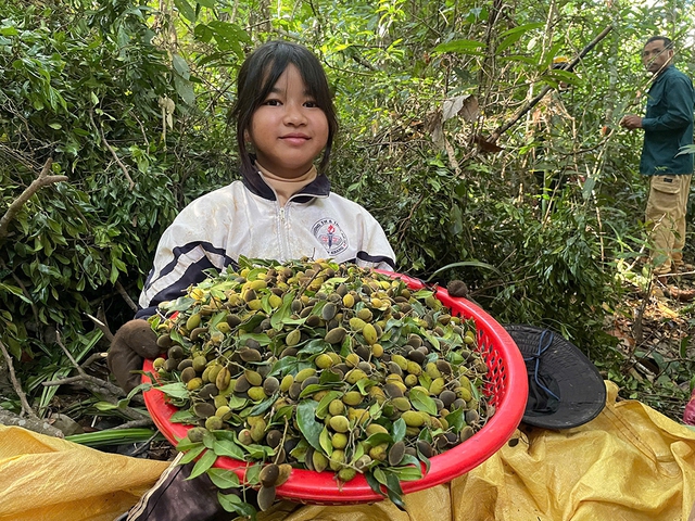 Thung s&acirc;u m&ugrave;a xoay ch&iacute;n - Ảnh 6.