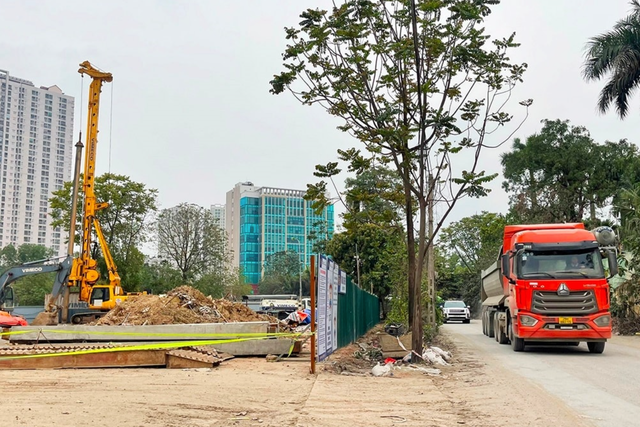 Hà Nội chặt hạ hơn 2.200 cây bóng mát phục vụ dự án giao thông- Ảnh 1.