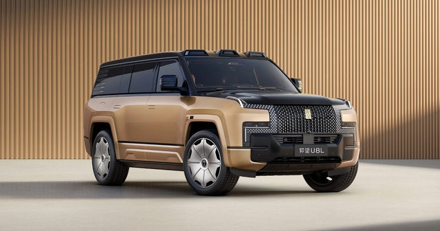 Báo cáo bán niên BYD 2025: Tăng trưởng ổn định và mở rộng toàn cầu - Ảnh 6.