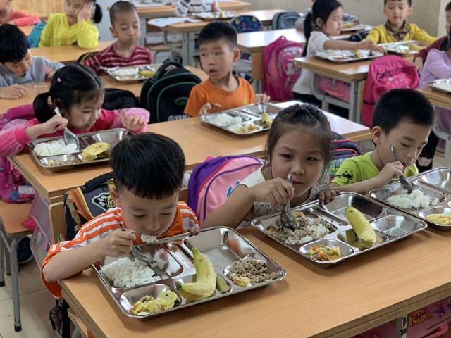 Xây dựng người Việt khỏe mạnh, trí tuệ, tầm vóc - Ảnh 2.