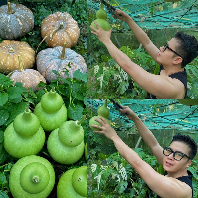 Chàng trai miền Tây và hành trình kỳ diệu... - Ảnh 1.