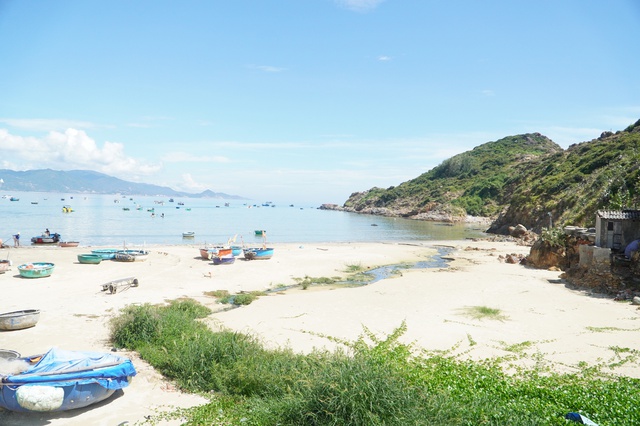Gia Lai: Nước thải sinh hoạt chưa xử lý chảy thẳng ra biển - Ảnh 6.