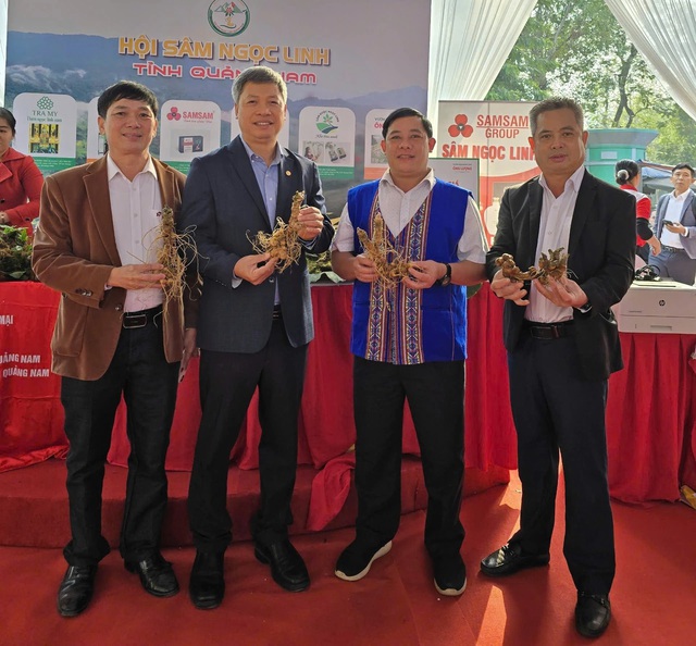 Rừng đã mở , nhưng khó khăn trong phát triển sâm Việt vẫn còn nhiều thách thức - Ảnh 1. Rừng đã mở , nhưng khó khăn trong phát triển sâm Việt vẫn còn nhiều thách thức - Ảnh 1.