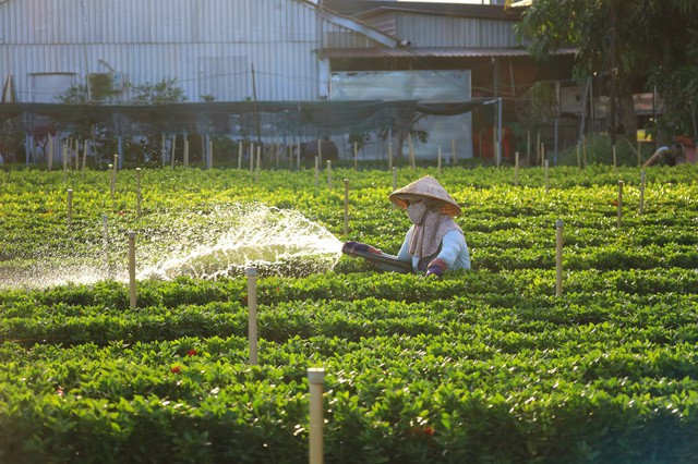 Đồng Tháp bứt phá để trở thành điểm sáng về phát triển kinh tế- Ảnh 5.