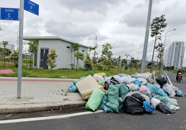 Bãi rác tự phát gây ô nhiễm môi trường tại TP . HCM - Ảnh 1. Bãi rác tự phát gây ô nhiễm môi trường tại TP . HCM - Ảnh 1.