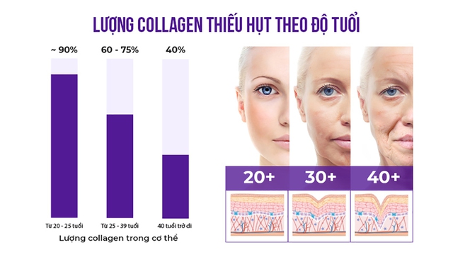 Phụ nữ tuổi 30+ cần phải làm gì ngay để bảo tồn và tăng cường lượng collagen? - Ảnh 2. Phụ nữ tuổi 30+ cần phải làm gì ngay để bảo tồn và tăng cường lượng collagen? - Ảnh 2.
