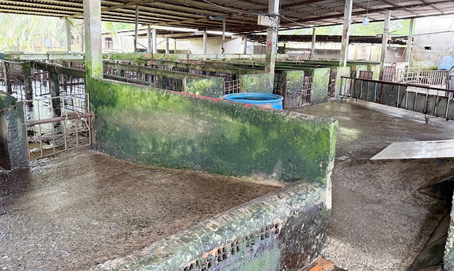 Từ đơn thư bạn đọc: Bất an với lò giết mổ gia súc trong khu nghĩa địa- Ảnh 4.