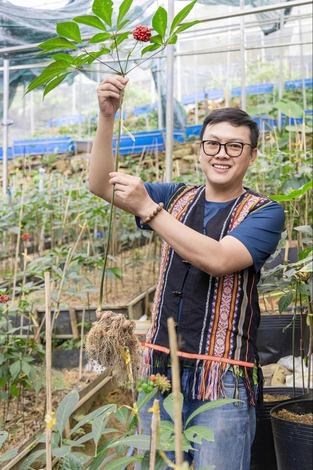 Nghiên cứu sâm Việt: Khám phá Điểm yếu chí tử cản trở phát triển bền vững - Ảnh 5. Nghiên cứu sâm Việt: Khám phá Điểm yếu chí tử cản trở phát triển bền vững - Ảnh 5.