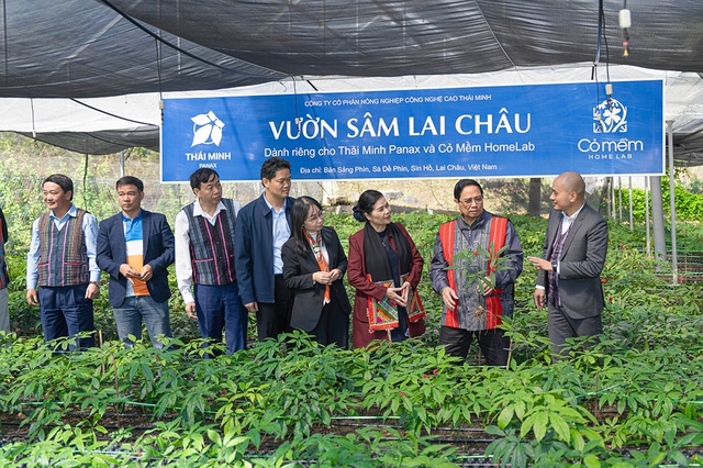 Nghiên cứu sâm Việt: Khám phá Điểm yếu chí tử cản trở phát triển bền vững - Ảnh 1. Nghiên cứu sâm Việt: Khám phá Điểm yếu chí tử cản trở phát triển bền vững - Ảnh 1.