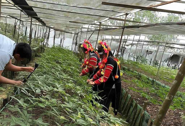 Tin tức đặc biệt trên báo in Thanh Niên 10.9.2025 - Ảnh 2.
