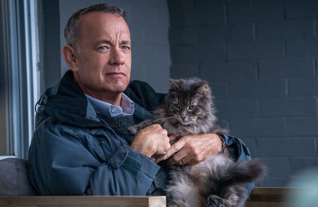 Tổng thống Donald Trump gọi Tom Hanks là 'kẻ phá hoại'- Ảnh 1. Tổng thống Donald Trump gọi Tom Hanks là 'kẻ phá hoại'- Ảnh 1.