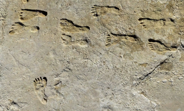 Phát hiện đáng kinh ngạc về dấu chân người cổ xưa nhất ở New Mexico - Ảnh 1.