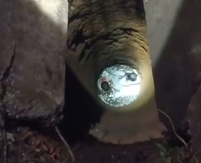 Giải cứu th&agrave;nh c&ocirc;ng 2 bạn trẻ rơi xuống giếng hoang ở Long Kh&aacute;nh- Ảnh 1.