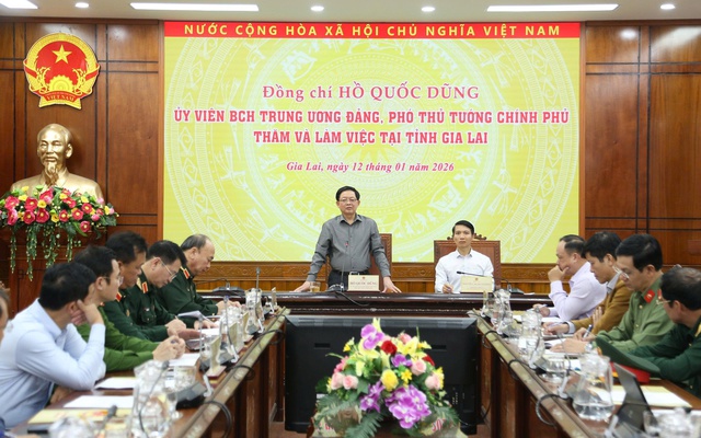 Ph&oacute; thủ tướng Hồ Quốc Dũng: Quyết t&acirc;m ho&agrave;n th&agrave;nh &lsquo;Chiến dịch Quang Trung&rsquo; trước ng&agrave;y 15.1 - Ảnh 4.