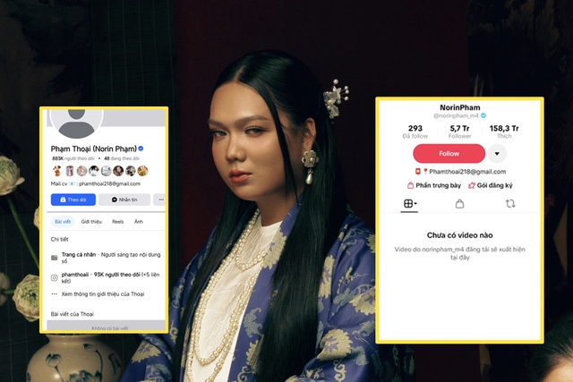 Tiktoker Phạm Thoại x&oacute;a tất cả video tr&ecirc;n tiktok - Ảnh 1.