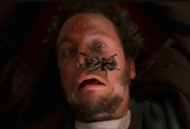 Nam diễn viên 'Ở nhà một mình' bị bắt quả tang mua dâm- Ảnh 2. Nam diễn viên 'Ở nhà một mình' bị bắt quả tang mua dâm- Ảnh 2.