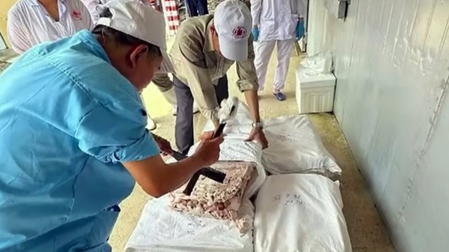 Hải Ph&ograve;ng siết l&ograve; mổ sau vụ Đồ hộp Hạ Long- Ảnh 2.