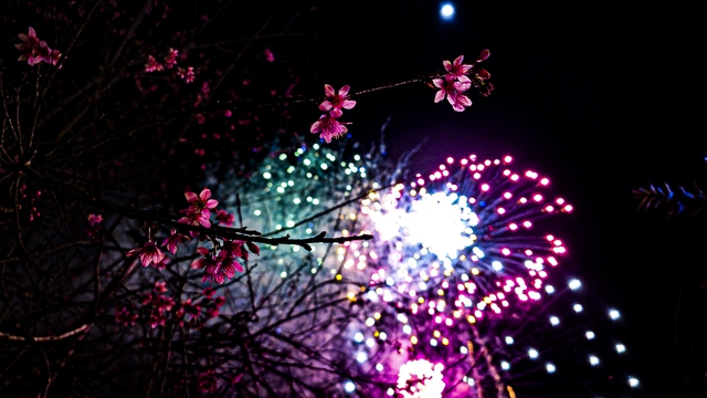 Tết Nguy&ecirc;n đ&aacute;n B&iacute;nh Ngọ 2026: Quảng Ng&atilde;i bắn ph&aacute;o hoa tại 2 địa điểm n&agrave;o?- Ảnh 1.