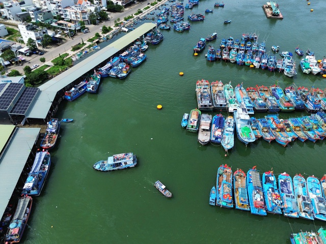 Khánh Hòa đẩy mạnh triển khai hệ thống truy xuất nguồn gốc thủy sản điện tử - Ảnh 2.