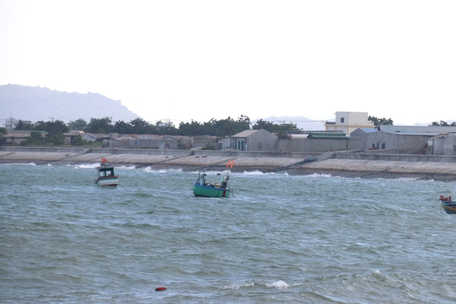 Sở KH-CN L&acirc;m Đồng n&oacute;i về việc dừng dự &aacute;n "chỉ dẫn địa l&yacute; t&ocirc;m B&igrave;nh Thuận"? - Ảnh 1.