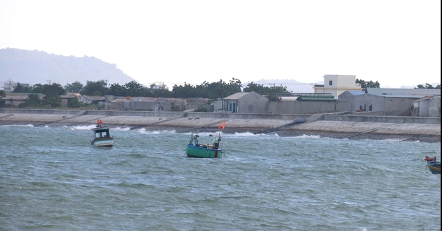 Dừng dự &aacute;n 't&ocirc;m B&igrave;nh Thuận' người nu&ocirc;i t&ocirc;m ảnh hưởng kh&ocirc;ng ?- Ảnh 1.