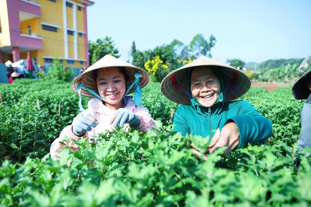 L&agrave;ng hoa Gia Kiệm rộn r&agrave;ng vụ tết: 3 thế hệ chăm hoa đ&oacute;n xu&acirc;n- Ảnh 2.
