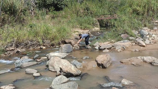 Quảng Ng&atilde;i: Băng rừng, vượt suối để đưa điện về Tu Th&ocirc;n- Ảnh 3.