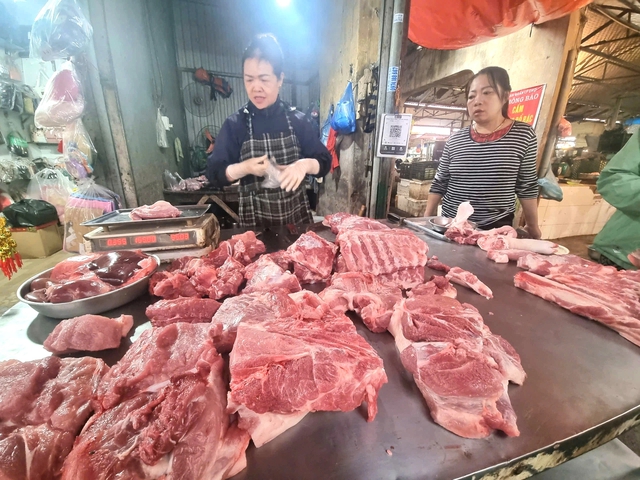 - Ảnh 1. - Ảnh 1.