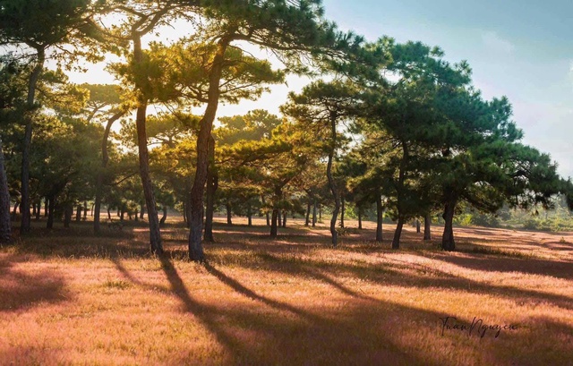 Gia Lai chấp thuận dự &aacute;n s&acirc;n golf Đăk Đoa hơn 1.150 tỉ đồng- Ảnh 1.