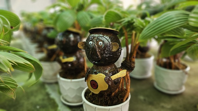 Biến trái dừa khô thành dừa bonsai Thanh Tùng độc lạ cho 12 con giáp - Ảnh 11.