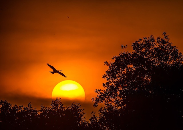 Cảnh báo bão mặt trời liên tục tấn công: Hôm nay 22.1 Việt Nam bị ảnh hưởng? - Ảnh 2.