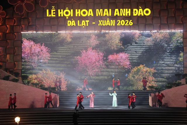 Mai anh đ&agrave;o Đ&agrave; Lạt rực rỡ sắc xu&acirc;n trong đ&ecirc;m khai hội- Ảnh 1.