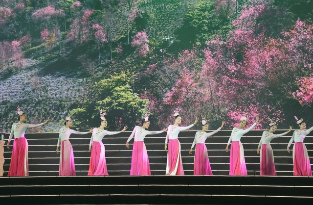 Mai anh đ&agrave;o Đ&agrave; Lạt rực rỡ sắc xu&acirc;n trong đ&ecirc;m khai hội- Ảnh 5.