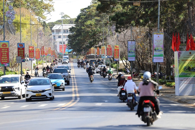 Mai anh đ&agrave;o Đ&agrave; Lạt rực rỡ sắc xu&acirc;n trong đ&ecirc;m khai hội- Ảnh 7.