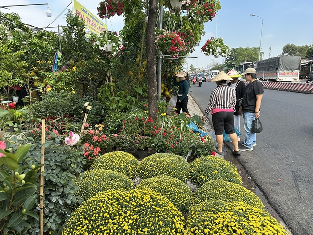 Phố phường TP . HCM rực rỡ sắc xu&acirc;n v&agrave; ảnh hưởng đến kinh tế địa phương - Ảnh 2.