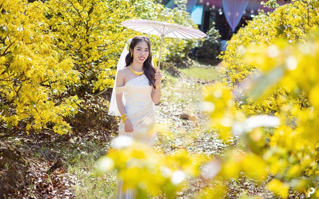 Đám cưới con gái rực rỡ giữa vườn mai ở Cần Thơ khiến mọi người trầm trồ - Ảnh 3. Đám cưới con gái rực rỡ giữa vườn mai ở Cần Thơ khiến mọi người trầm trồ - Ảnh 3.