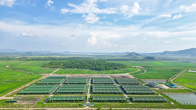 Kinh ngạc với hệ sinh th&aacute;i n&ocirc;ng nghiệp của tỉ ph&uacute; Trần B&aacute; Dương- Ảnh 2.